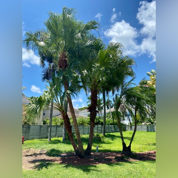 Meet your Posher, Kailey - Picture 4 of 7